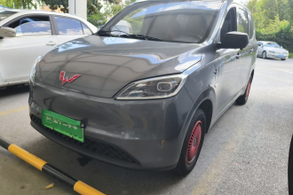 五菱汽车 五菱宏光新能源 2024款 纯电版 300KM 实用型