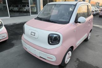 奔腾小马 2024款 170km 元气马