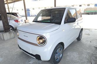 吉利银河 2023款 熊猫mini 200km 耐力熊