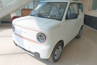 吉利银河 2024款 熊猫mini 200km 耐力熊