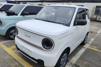 吉利银河 2023款 熊猫mini 200km 耐力熊