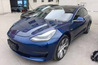 特斯拉 Model 3(进口) 2019款 Performance高性能全轮驱动版