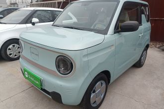 吉利银河 2023款 熊猫mini 120km 超萌熊