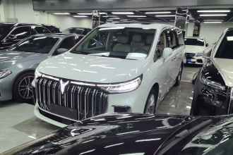 岚图汽车 岚图梦想家 2022款 低碳版 想+智驾包