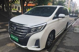 广汽传祺 传祺M8 2020款 领航款 390T 尊贵版