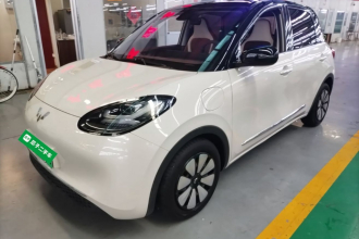 五菱汽车 五菱缤果 2023款 333km 灵犀互联款
