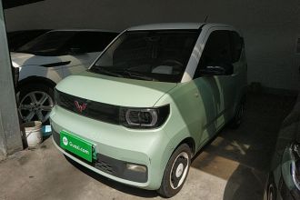 五菱汽车 宏光MINIEV 2021款 马卡龙时尚款 磷酸铁锂
