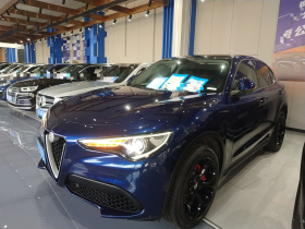 阿尔法·罗密欧 Stelvio斯坦维 2017款 2.0T 200HP 精英版