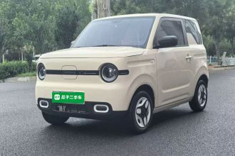 吉利银河 2025款 熊猫mini 210km 元气熊