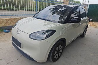 五菱汽车 五菱缤果 2023款 333km 灵犀互联+款