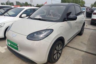 五菱汽车 五菱缤果 2024款 333km 悦享款