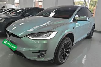 特斯拉 Model X 2019款 Performance 高性能版