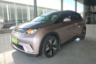 比亚迪 海豚 2021款 401km 骑士版