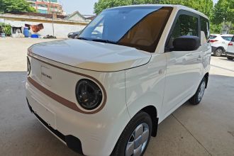 吉利银河 2024款 熊猫mini 200km 耐力熊