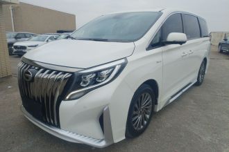 广汽传祺 传祺M8 2021款 大师系列 390T 至尊版