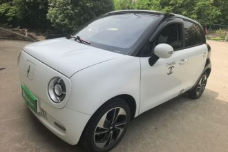 欧拉黑猫 2021款 351km 标准型