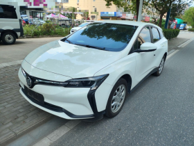 别克 微蓝6 2024款 450km 出行版