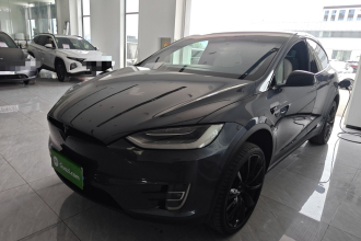 特斯拉 Model X 2020款 Performance 高性能版
