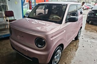 吉利银河 2023款 熊猫mini 200km 耐力熊