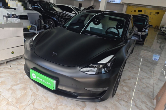 特斯拉 Model 3 2021款 Performance高性能全轮驱动版 3D6