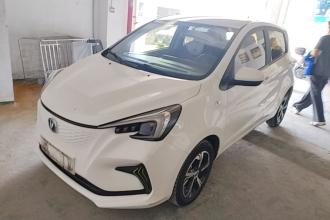 长安 奔奔E-Star 2022款 清心版 多彩款 磷酸铁锂