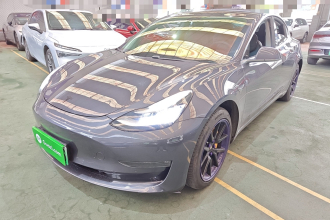 特斯拉 Model 3 2020款 改款 长续航后轮驱动版