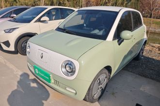 欧拉黑猫 2022款 301km 萌动型 磷酸铁锂