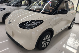 五菱汽车 五菱缤果 2025款 333km 悦享款