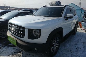 哈弗大狗 2022款 1.5T DCT两驱边牧版