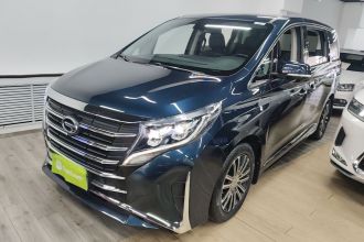 广汽传祺 传祺M8 2021款 领秀系列 390T 至尊版