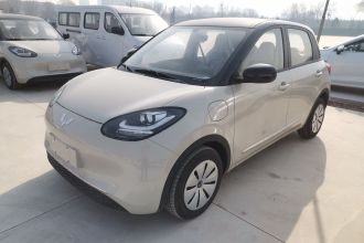 五菱汽车 五菱缤果 2025款 203km 轻享款