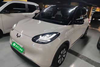 五菱汽车 五菱缤果 2024款 333km 悦享款
