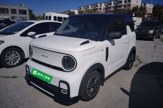吉利银河 2024款 200km 熊猫卡丁