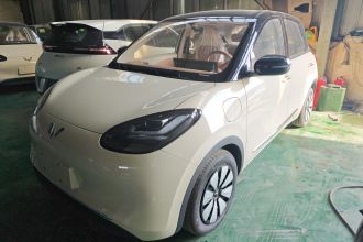 五菱汽车 五菱缤果 2025款 333km 悦享款