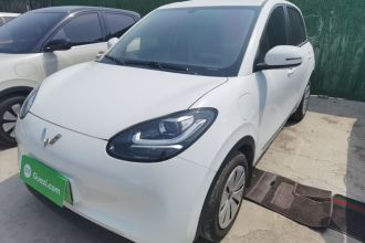 五菱汽车 五菱缤果 2024款 203km 轻享款