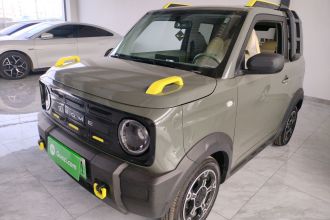 吉利银河 2025款 210km 熊猫骑士