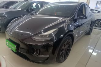 特斯拉 Model Y 2021款 标准续航后驱版