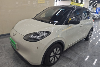 五菱汽车 五菱缤果 2023款 333km 灵犀互联+款