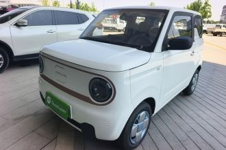 吉利银河 2024款 熊猫mini 200km 耐力熊