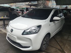 长安 奔奔E-Star 2021款 国民版 心悦版 （快充版）三元锂