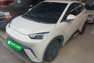比亚迪 海鸥 2024款 荣耀版 305km 活力版