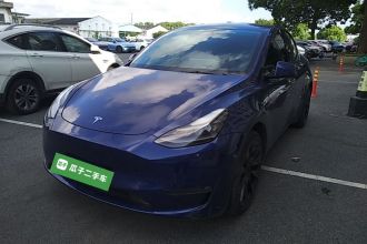 特斯拉 Model Y 2021款 长续航全轮驱动版 3D7