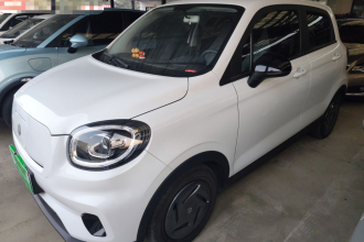 零跑汽车 零跑T03 2024款 200轻享版