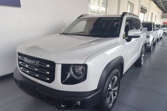 哈弗大狗 2021款 1.5T DCT两驱拉布拉多版