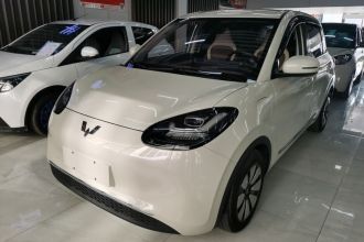 五菱汽车 五菱缤果 2023款 333km 悦享+款