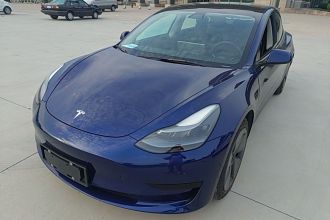特斯拉 Model 3 2021款 改款 标准续航后驱升级版 3D1