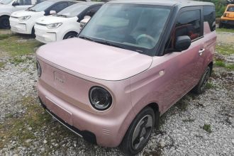 吉利银河 2023款 熊猫mini 200km 灵动熊