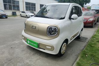 奔腾小马 2024款 170km 元气马