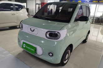 五菱汽车 宏光MINIEV 2024款 第三代 215km 青春版
