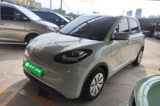 五菱汽车 五菱缤果 2023款 203km 轻享款